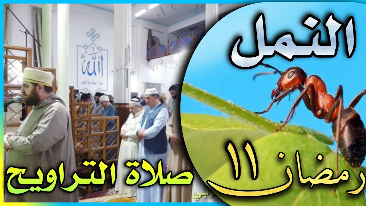 صلاة التراويح ليلة 11 رمضان 1443 هجري ماتيسر من سورة النمل الشيخ الدكتور علي الحربي