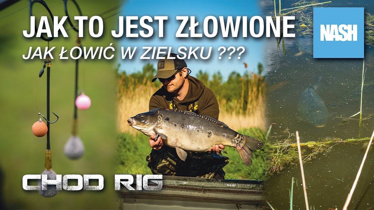 Jak to jest złowione? - Jak łowić w zielsku? - Chod Rig !!!
