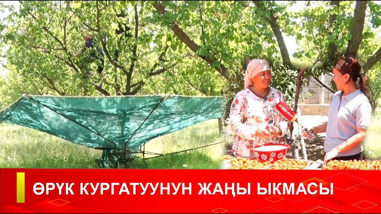 ӨРҮК КУРГАТУУНУН ӨЗГӨЧӨ ЫКМАСЫ
