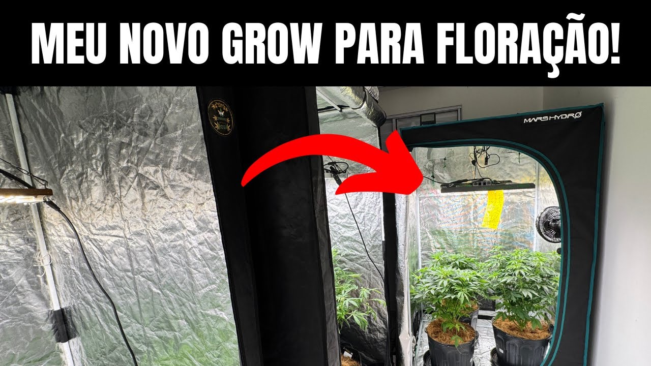 MEU NOVO GROW CULTIVO INDOOR TENDA MARS HYDRO