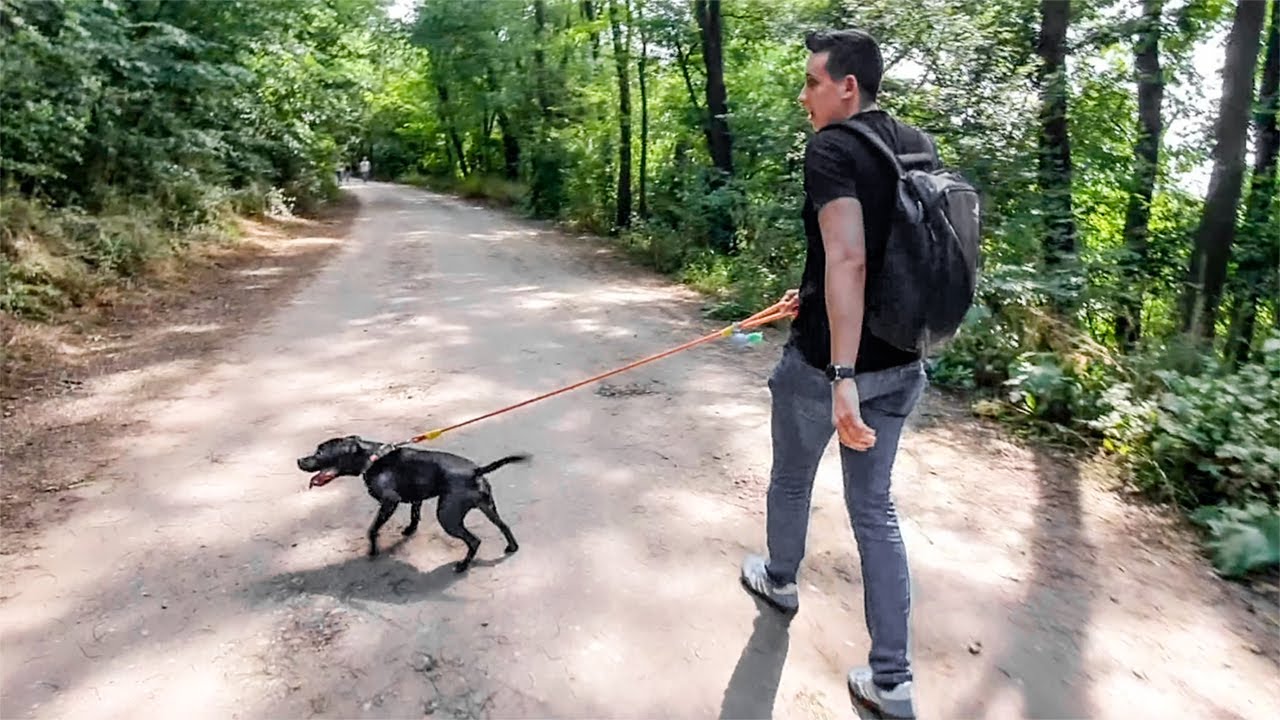PRIMA OARA IN PADURE cu BENNY ! - Vlog 969