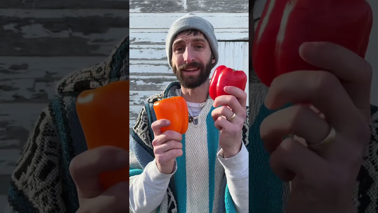 Стоит ли органическая еда дополнительных денег?