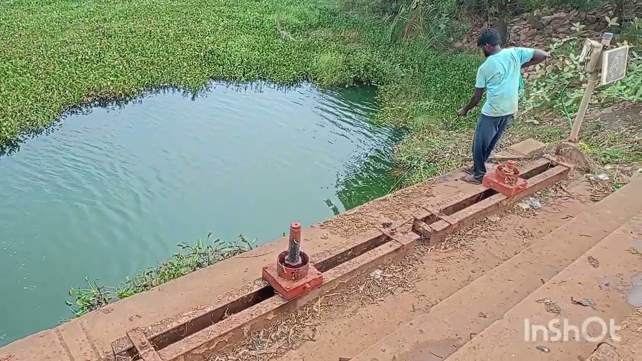 🐟🐟చెరువులో చేపలు పట్టడం ఎలా??? #fishing #fisherman #fishingvideo #fish 