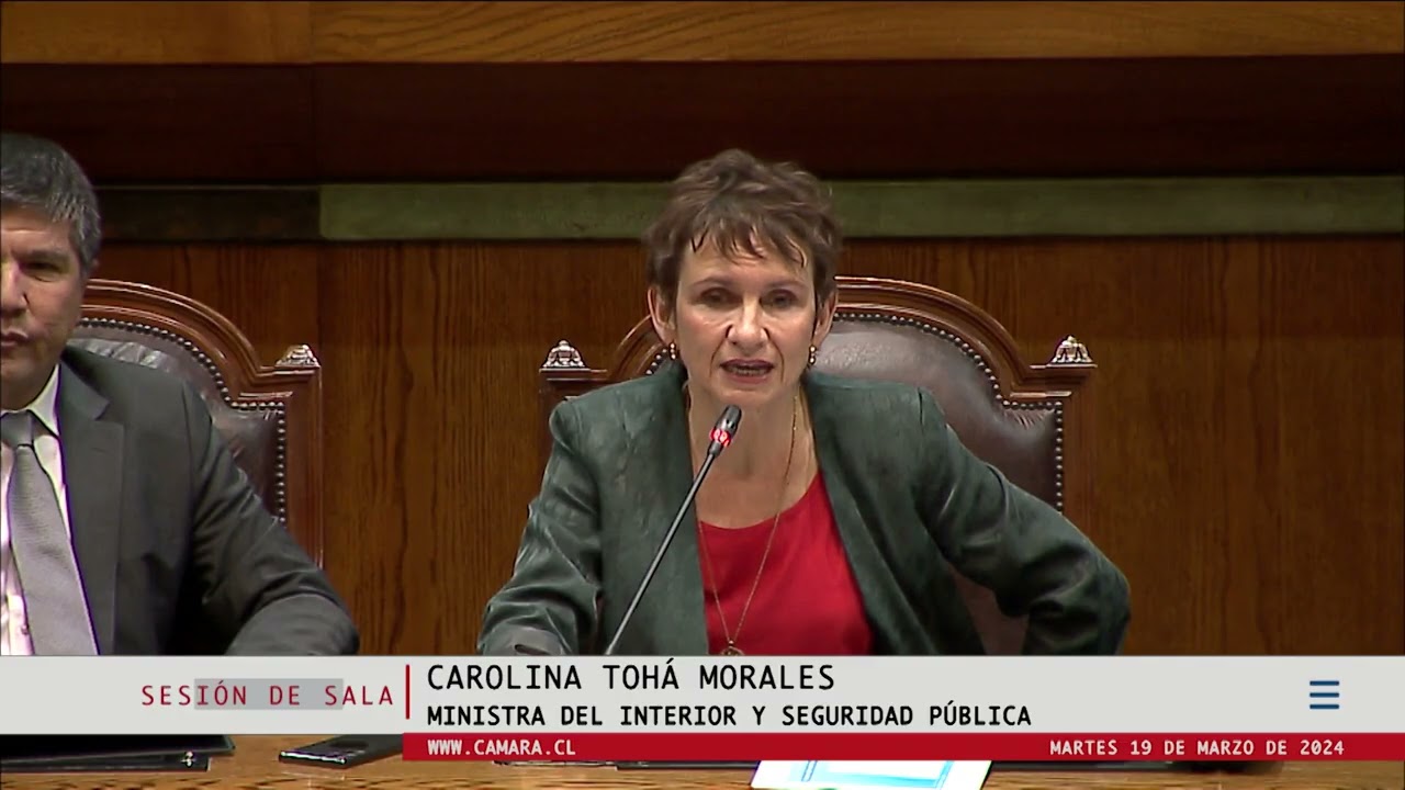 Cámara analizó aumento de delincuencia y crimen organizado