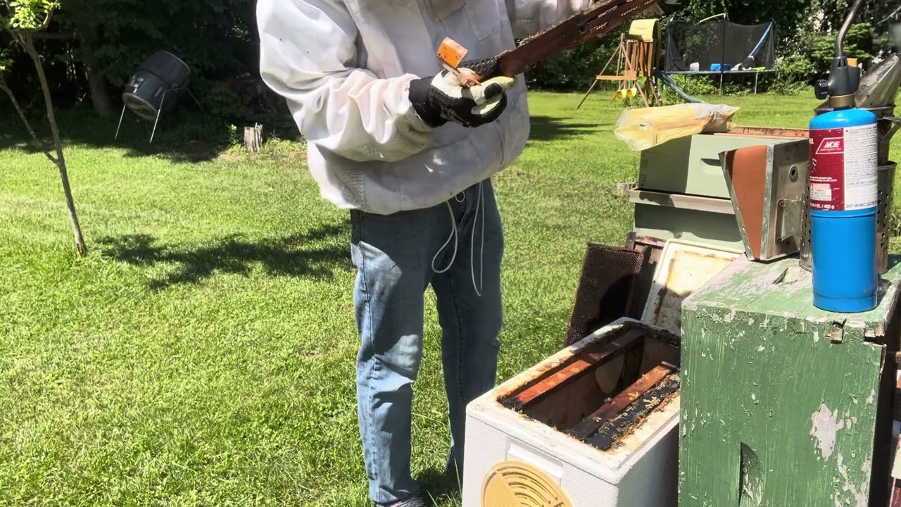 Nuc Follow Along Episode #2: looking for signs the queen was mated!