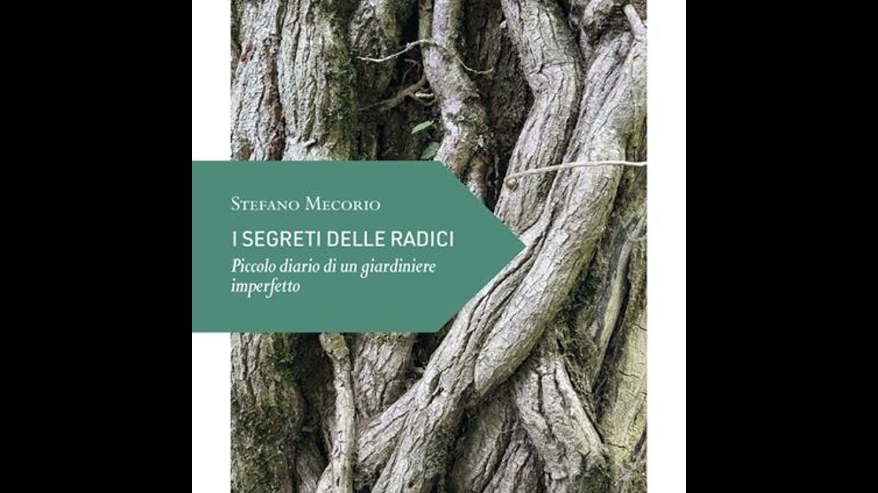 Stefano Mecorio "I segreti delle radici"