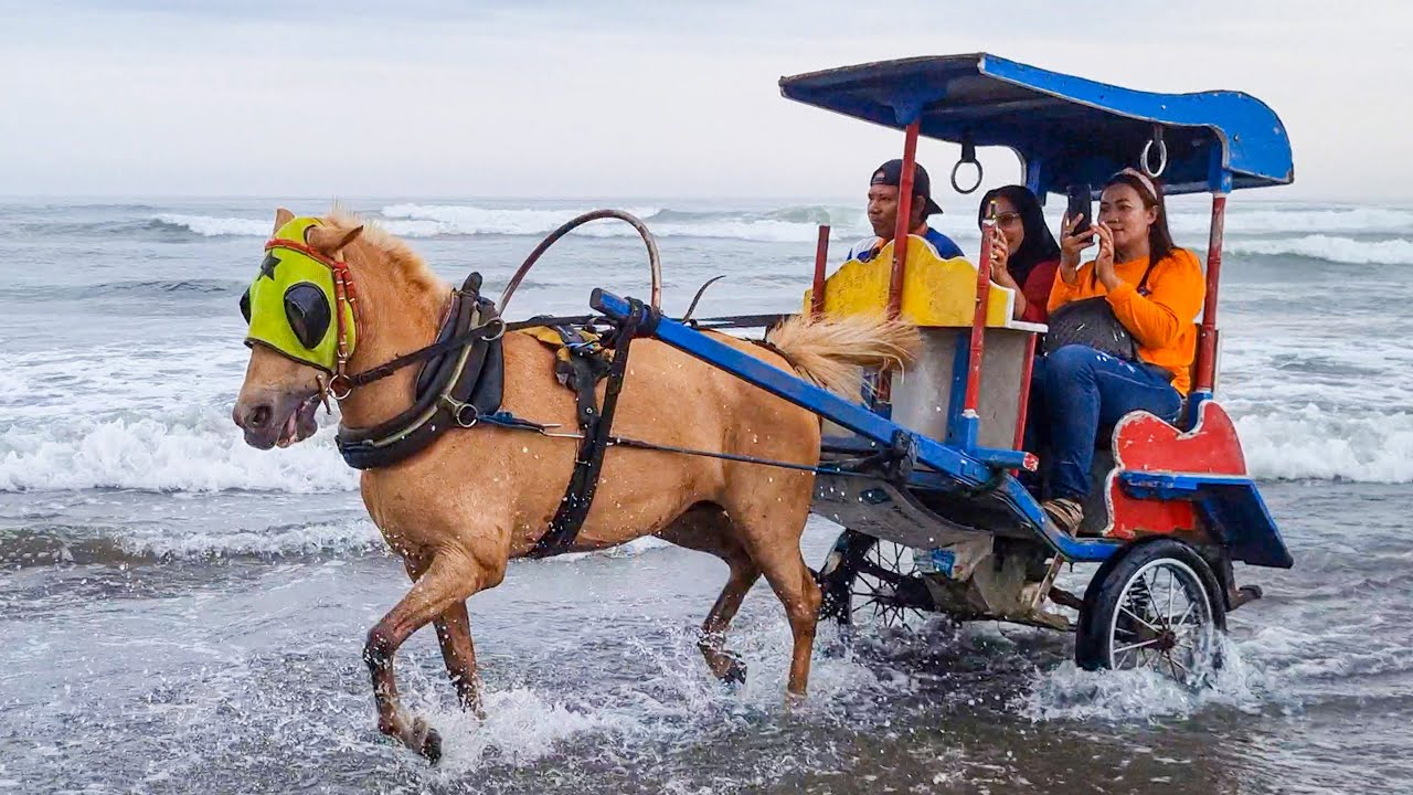 KUDA | KUDA DELMAN PANTAI - KUDA MALIOBORO | LAGU COCOMELON DAN NAIK DEMAN ISTIMEWA TERBARU