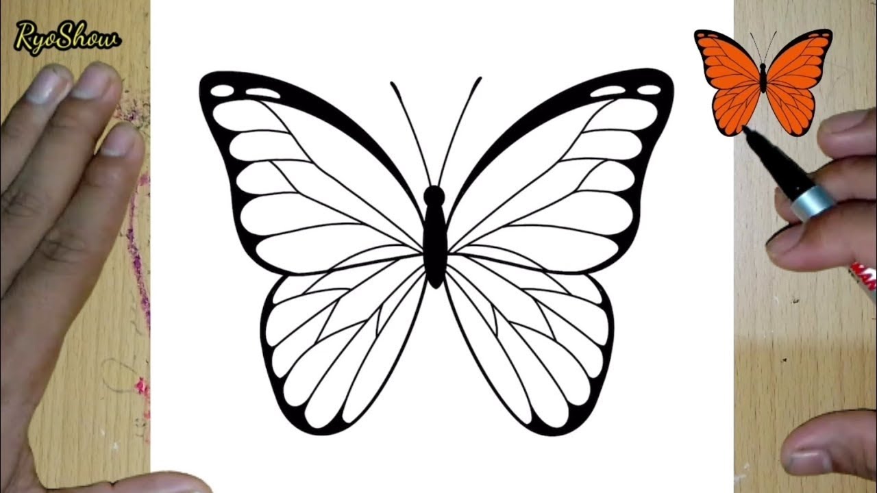 Как нарисовать бабочку | легко | урок рисования