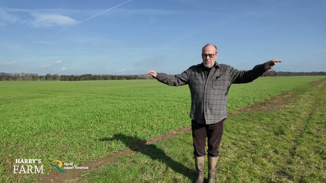 Government announces new SFI regs & it turns out planting trees isn't the answer to climate change