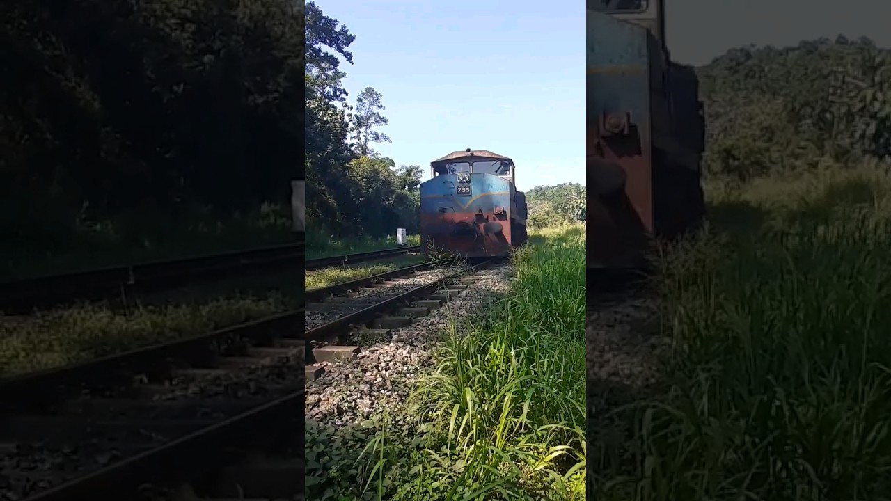 Canadian Class M4 Diesel Locomotives in Sri Lanka 🇱🇰 | #class_m4 #canadian #mx620 #locomotive #trein