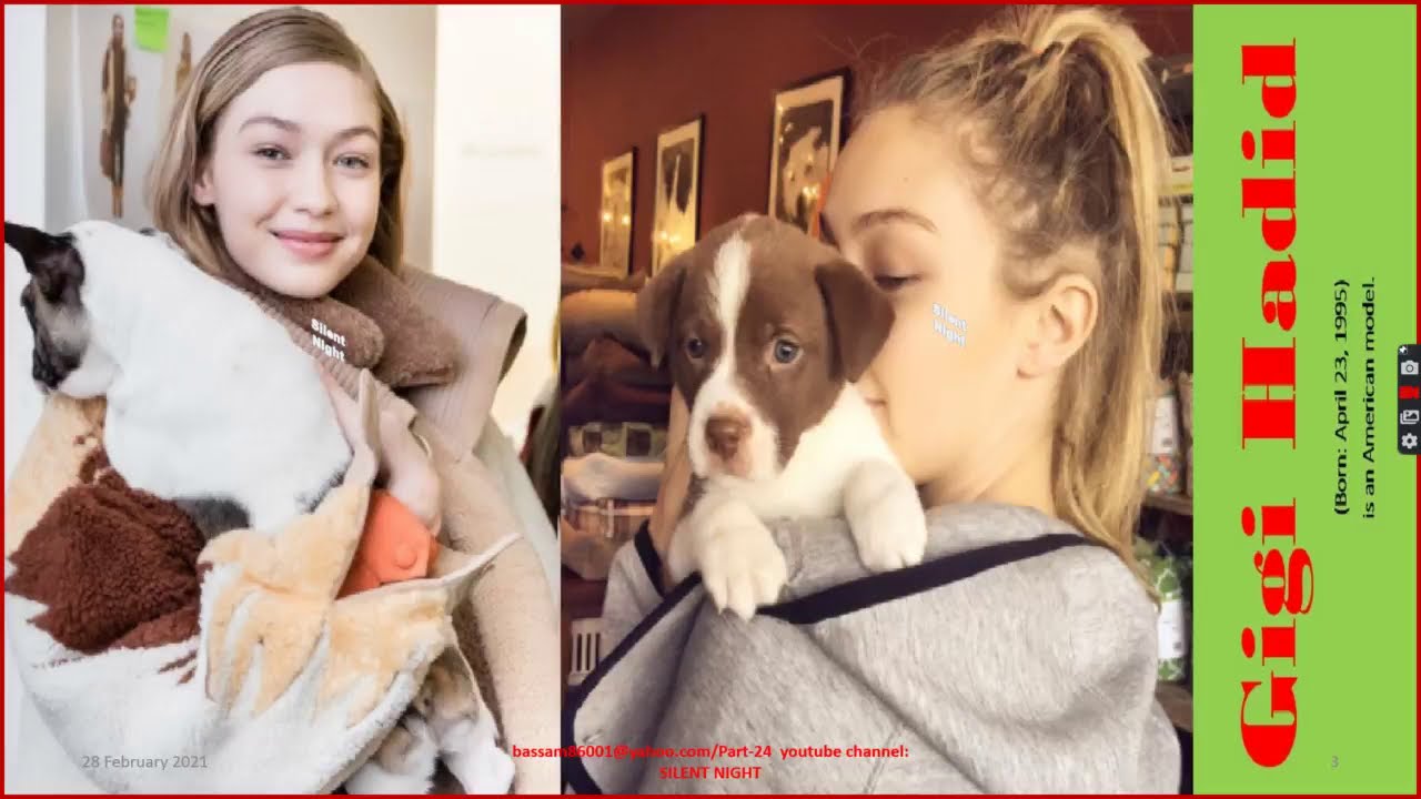 Celebrities With Their Adorable Pets Part 24/Camera