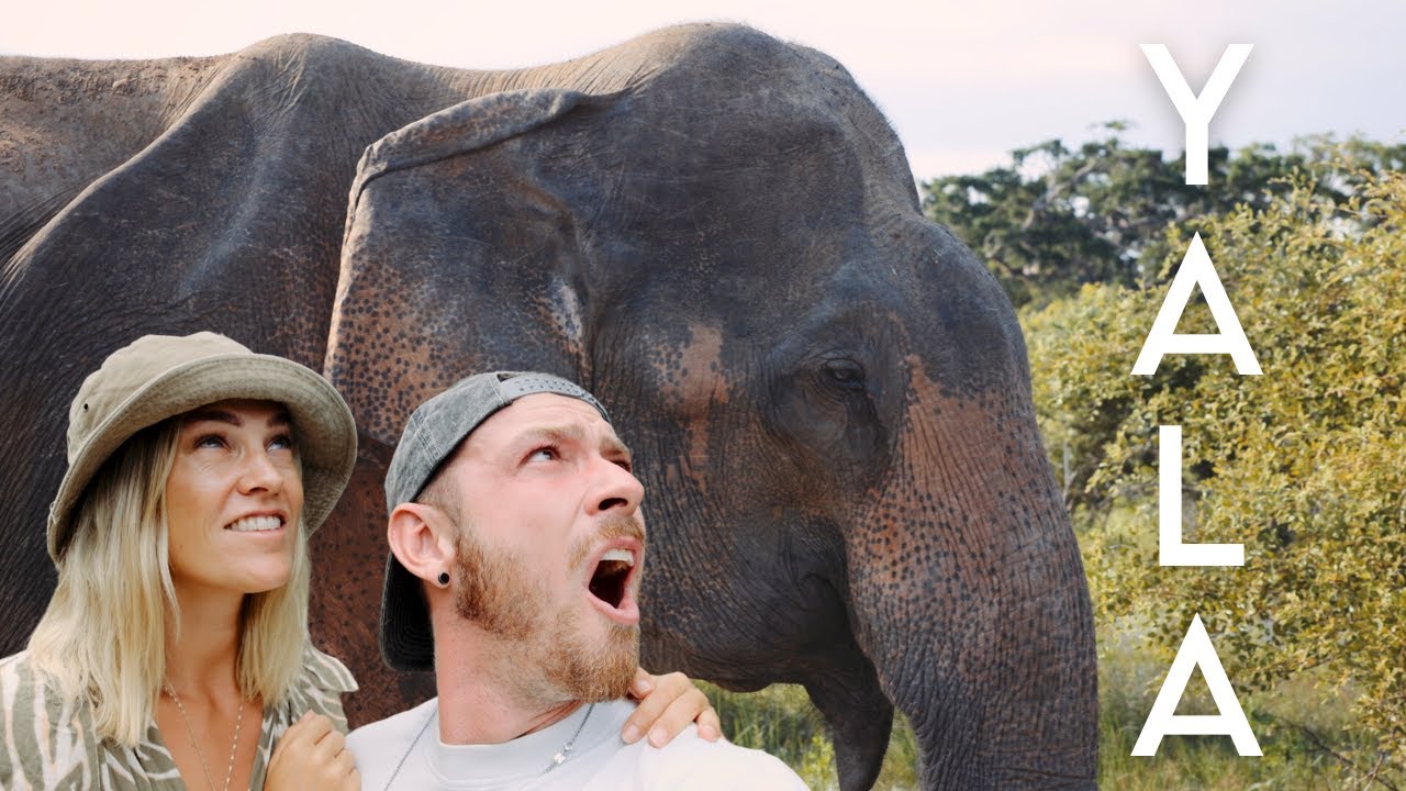 CLOSE CALL WITH A LEOPARD In Yala National Park