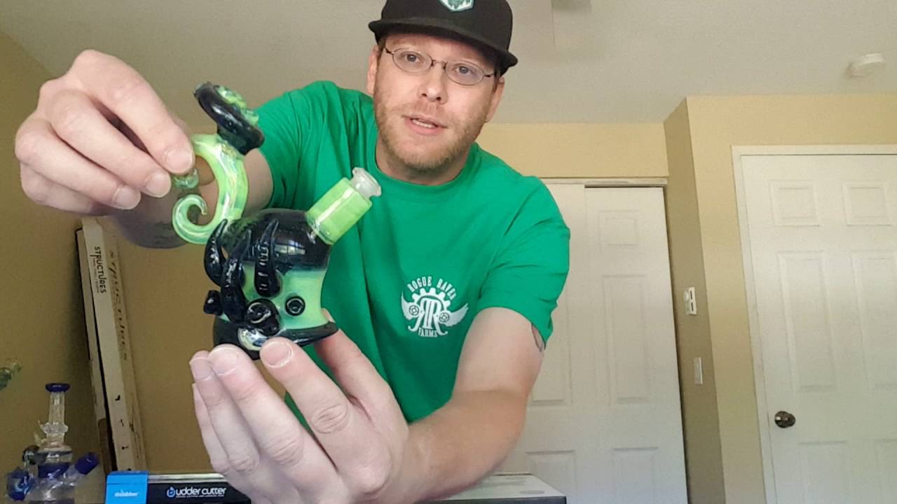 Seattle hempfest 2016!!