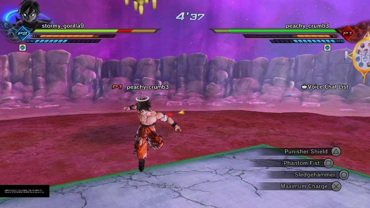 Darkfizzyroly wins the battle