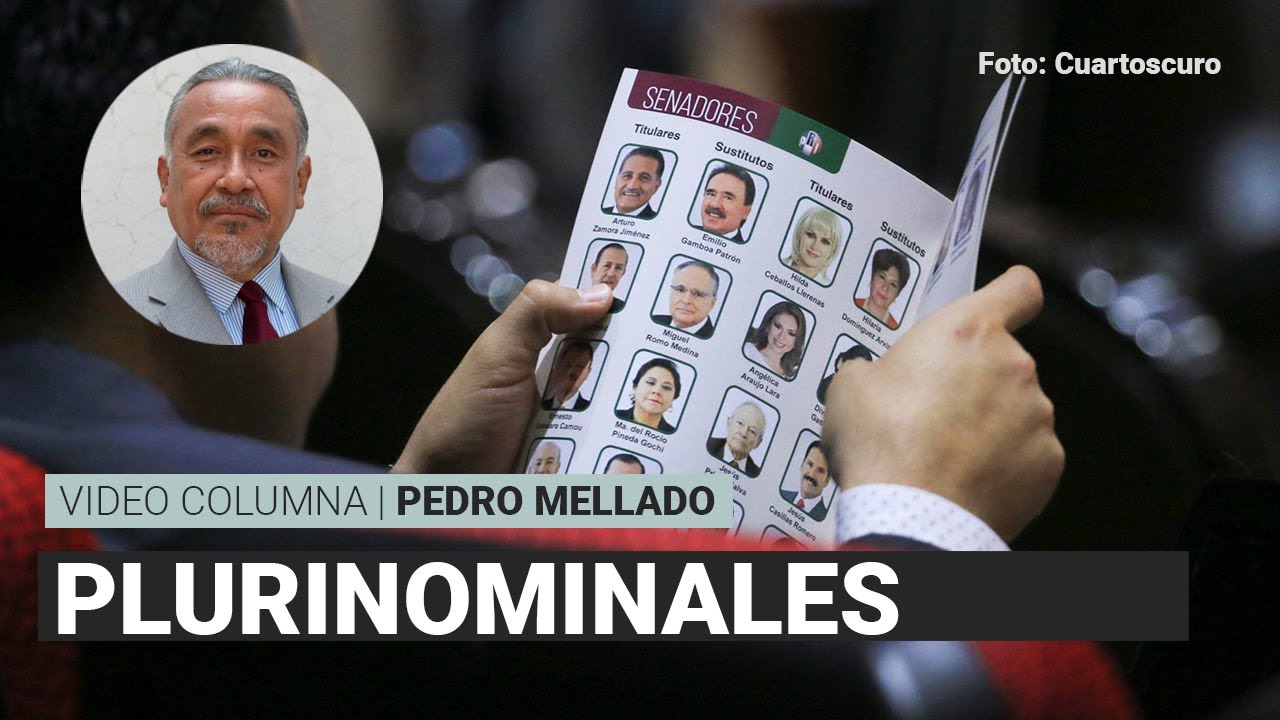 Diputados y senadores plurinominales deben desaparecer, por Pedro Mellado | Video columna