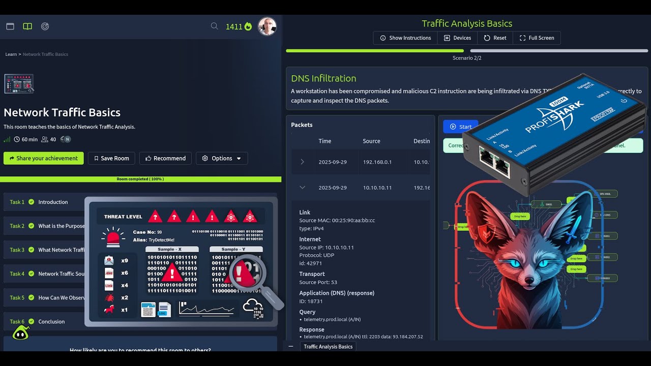 Основы сетевого трафика TryHackMe — полное пошаговое руководство 2025