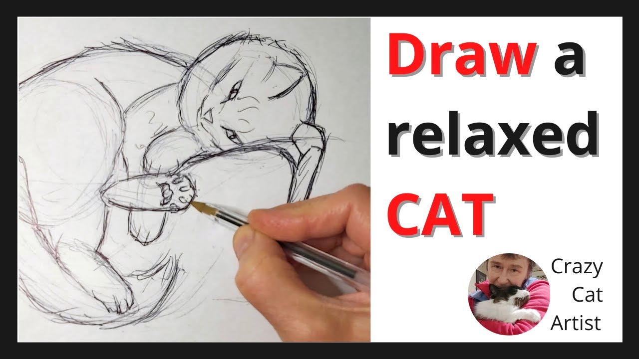 How to Draw a Cat on a Couch - sleepy long hair, side view, easy beginner method, practice sketch