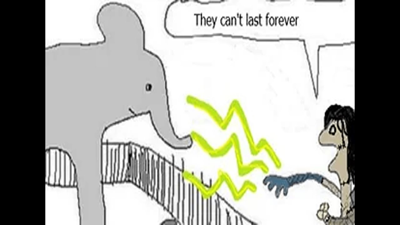 They can't last forever!