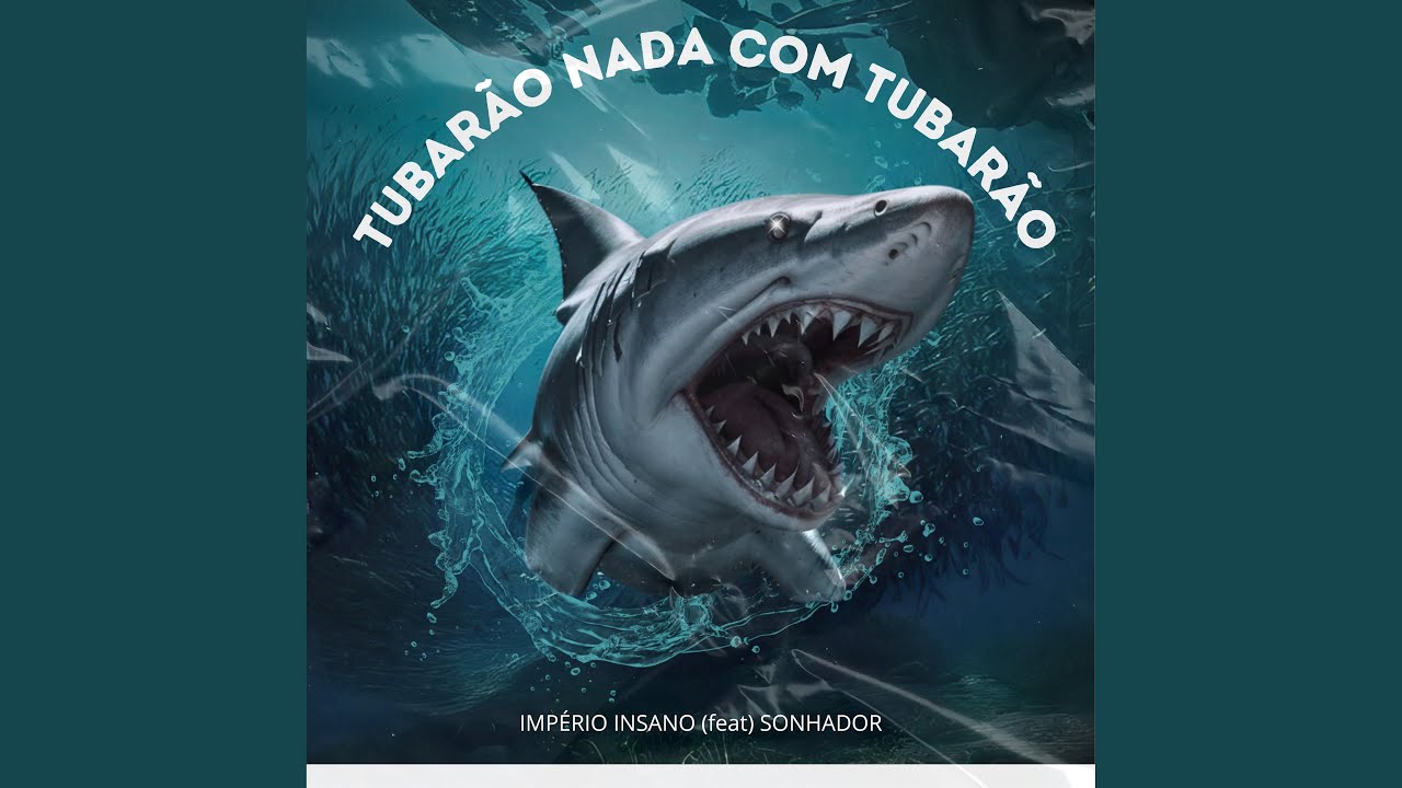 Tubarão Nada Com Tubarão