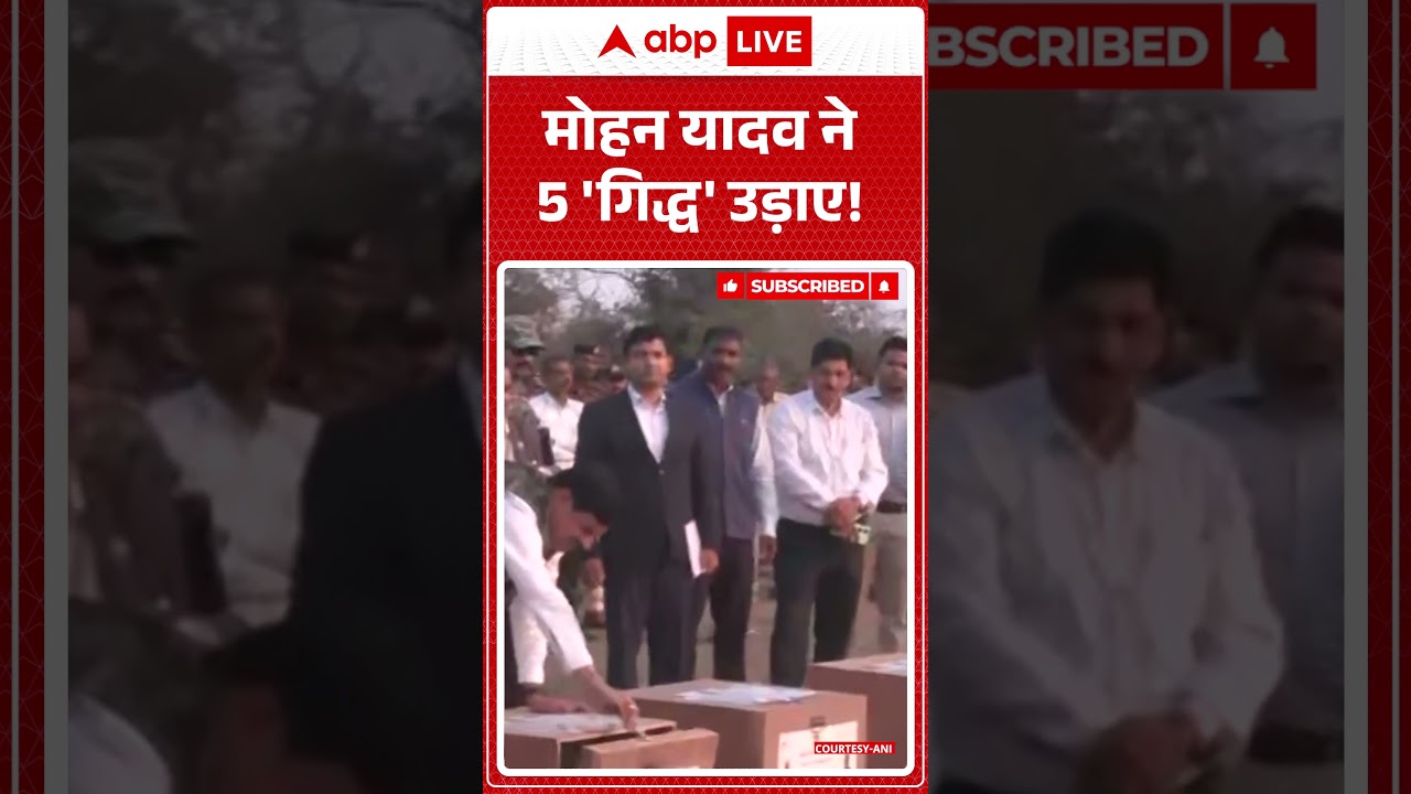 CM Mohan Yadav Releases Vultures : मोहन यादव ने 5 'गिद्ध' उड़ाए! | Wildlife News | Shorts |