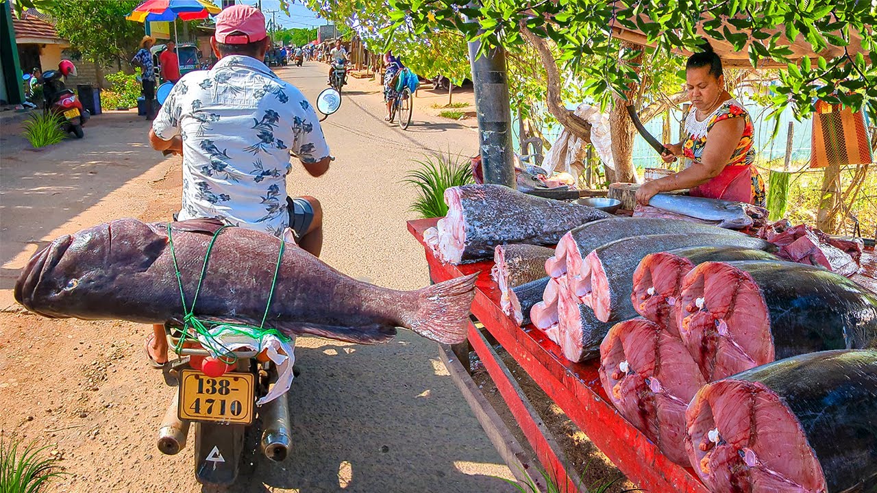 Wow ! Unique! Aesthetic Village Road's Very Pleasant Biggest Fish Market  Paradise Village  ASMR