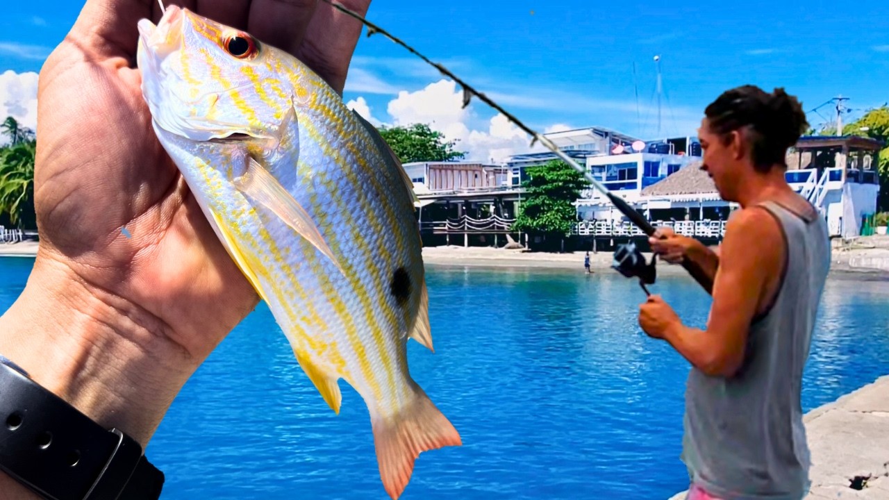 Dia De Aventura en Playa Palenque Republica Dominicana