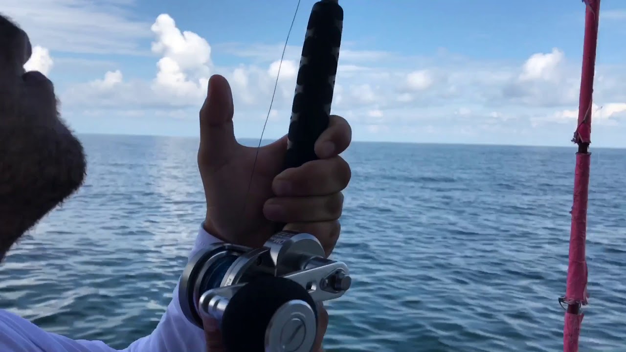 Pulling Drag Kingfish