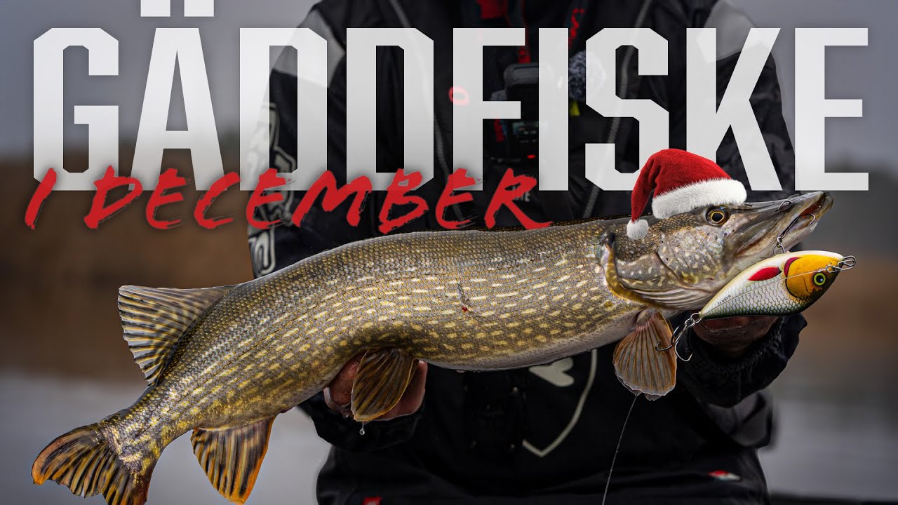 Decemberfiske efter gädda i skärgården!