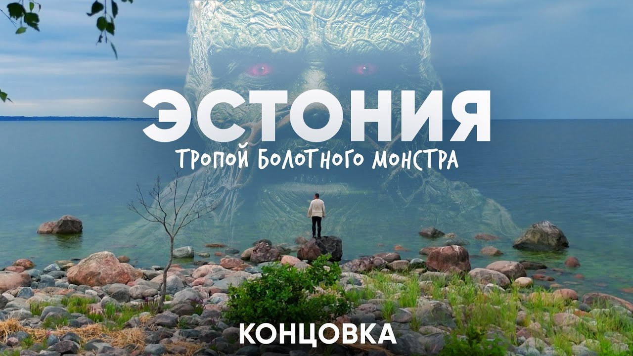 Сквозь эстонскую тайгу на велосипеде. Эстония.