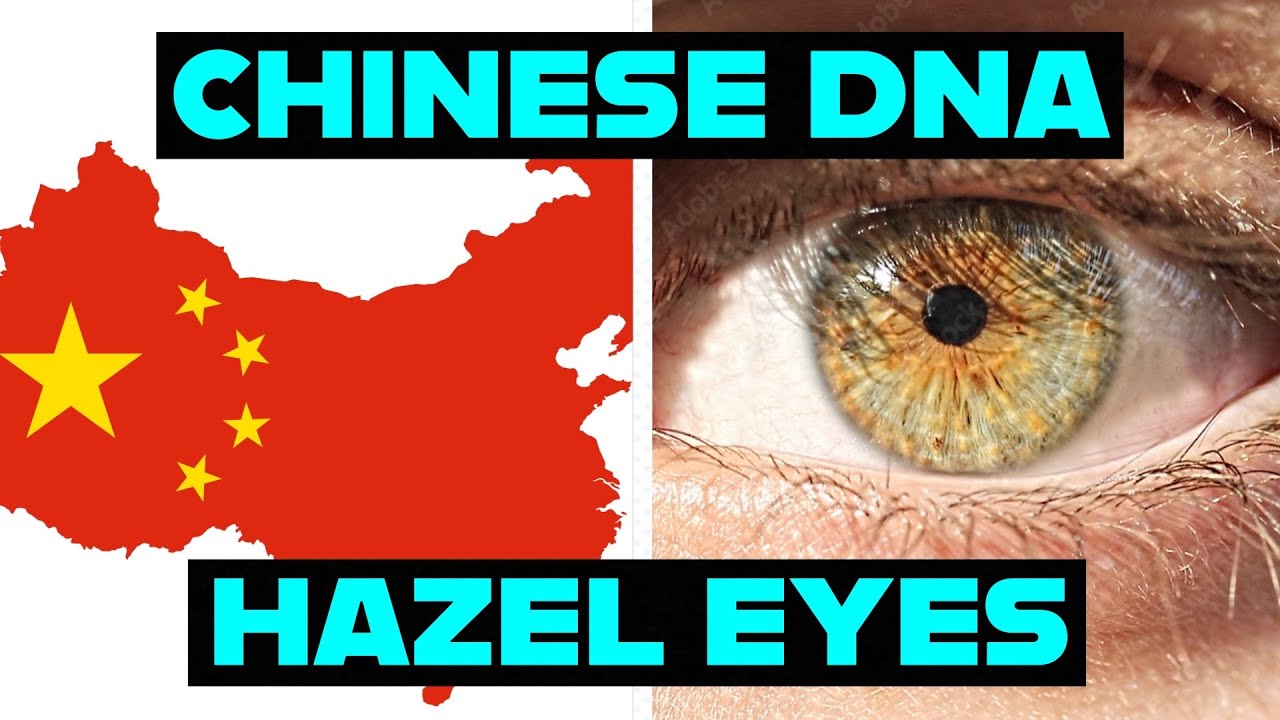 Chinese DNA And The Evolution Of Hazel Eyes