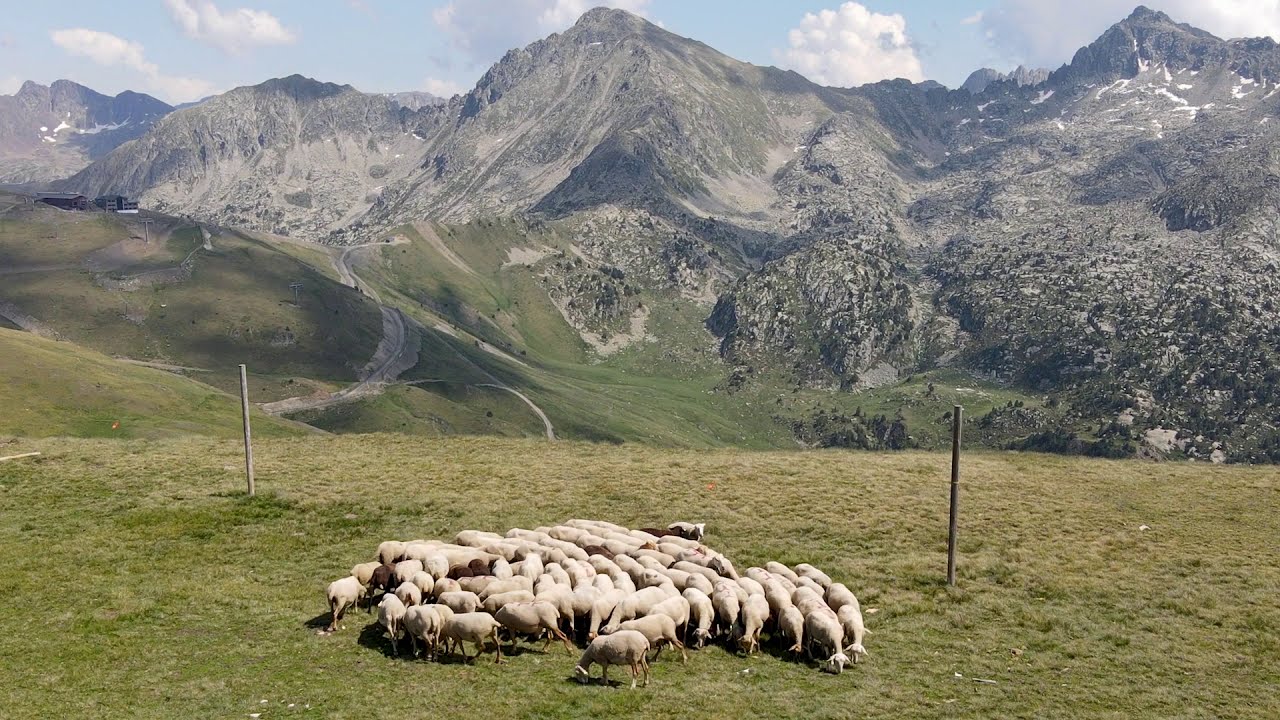 Descobreix l'Orri del Cubil. Encamp. Andorra