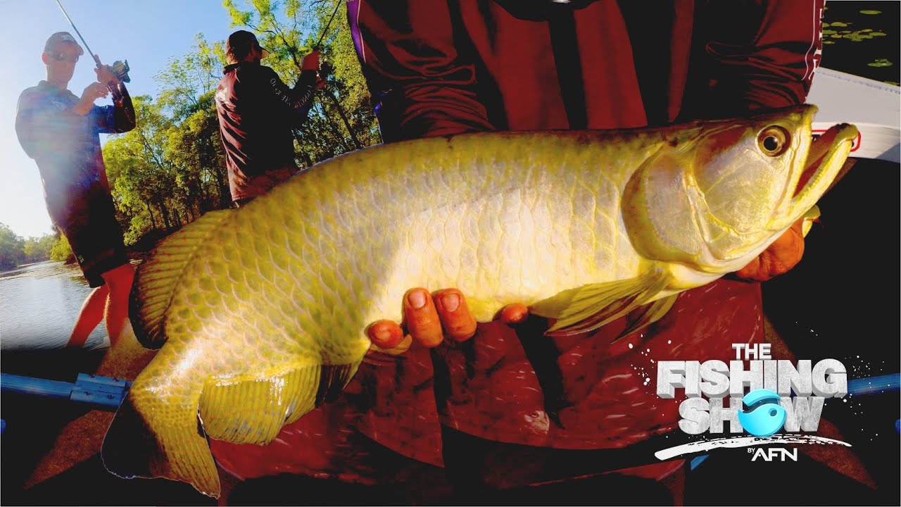Saratoga - The Hardest Fish to Catch?