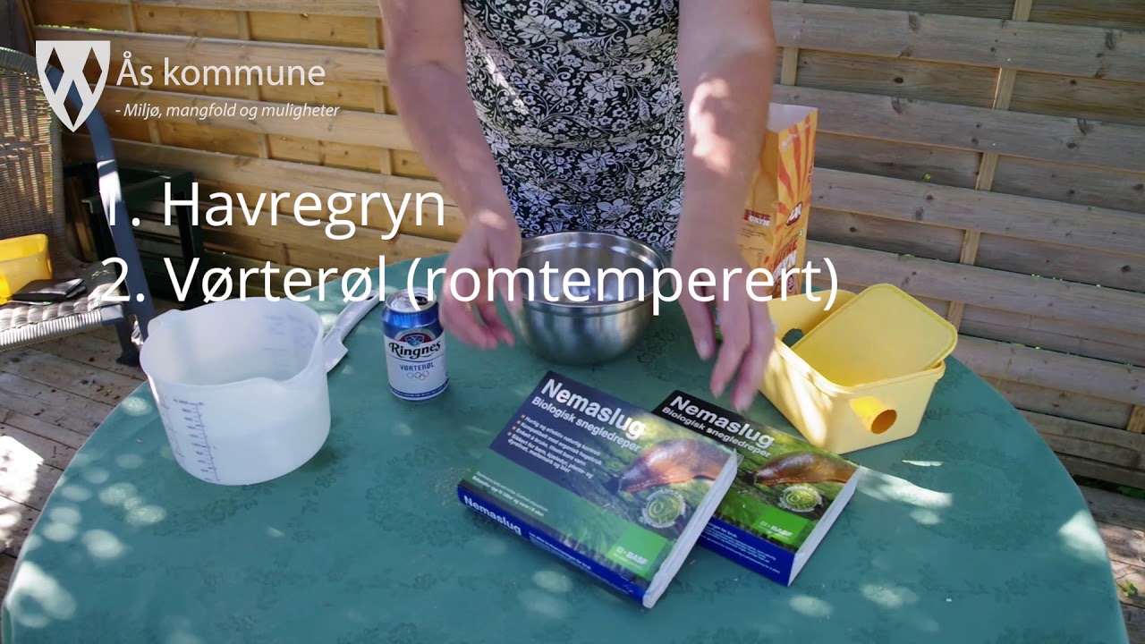 Hvordan bekjempe snegler i hagen din