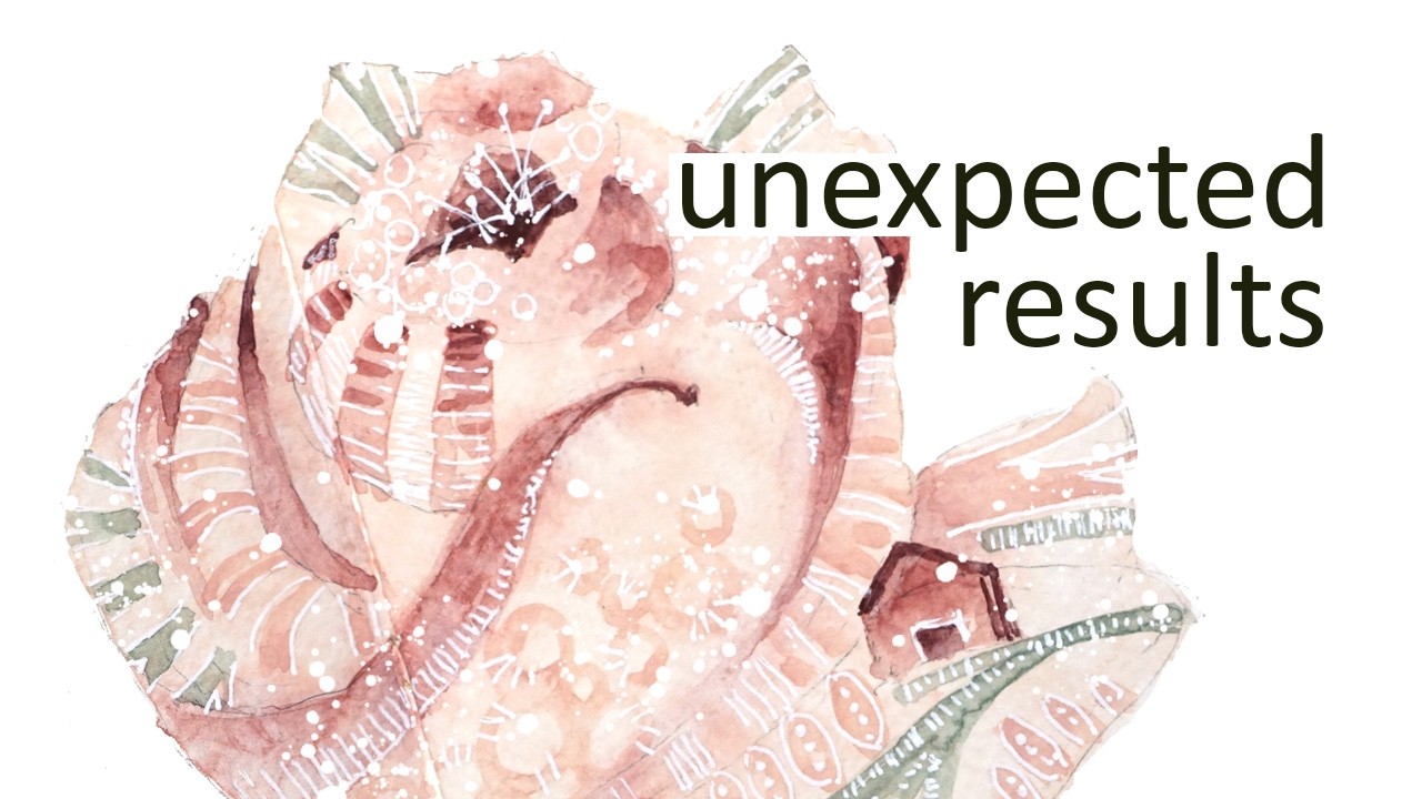 A Rose, Abstracted and Unexpected