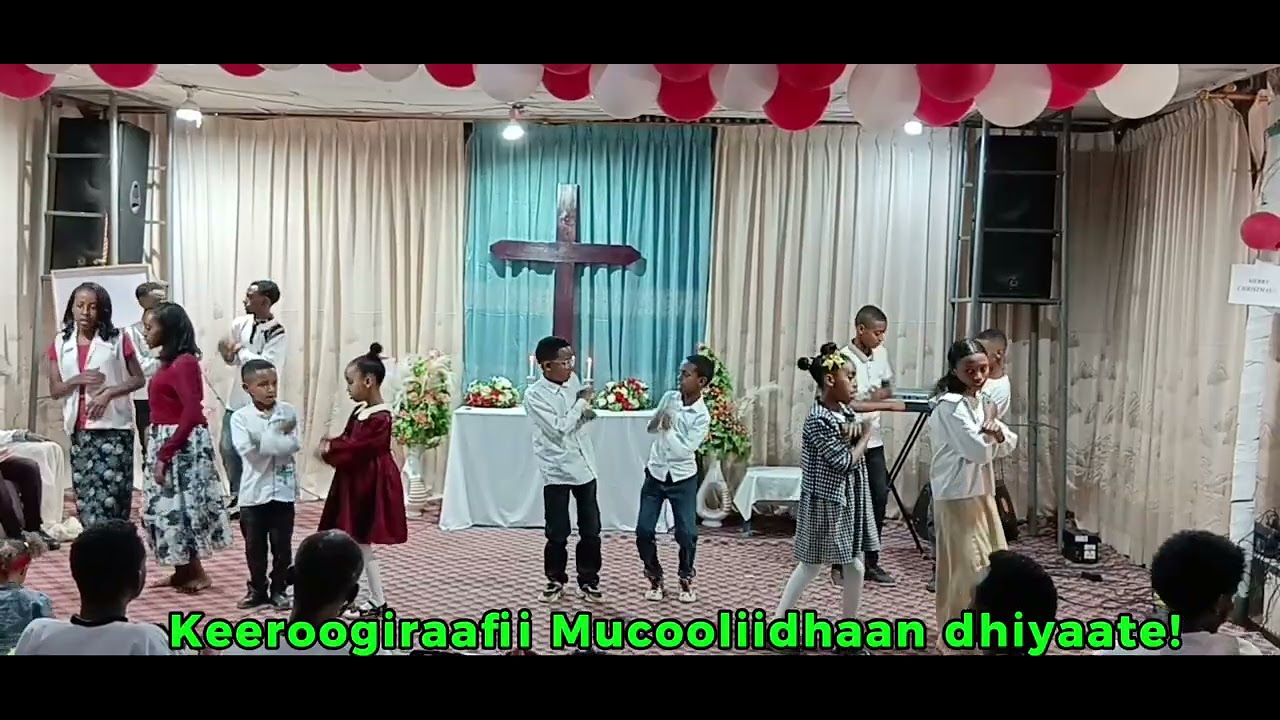 Keeroogiraafii Garee Mucoolii WKWWMYI WAAO Biiftuu Harariin dhiyeeteen eebbifamaa!!!