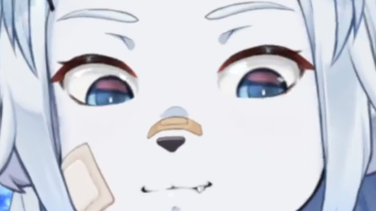 TAIGA IS A CONSERVATIVE