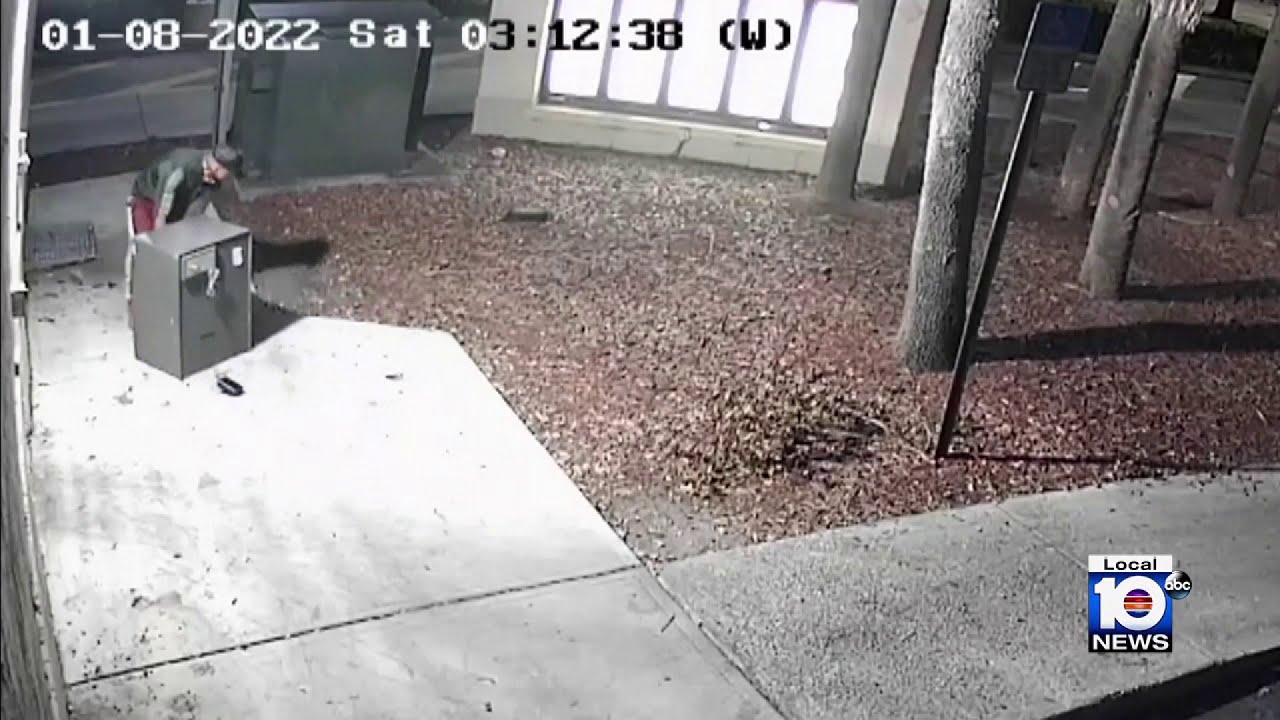 Thieves caught on camera stealing safe from Wendy's in Miramar