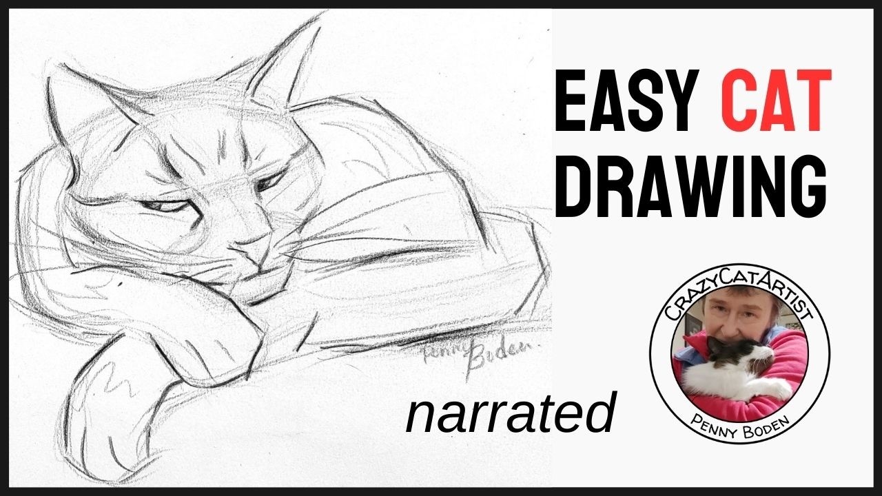 How to Draw a Cat Curled Up Face Forward
