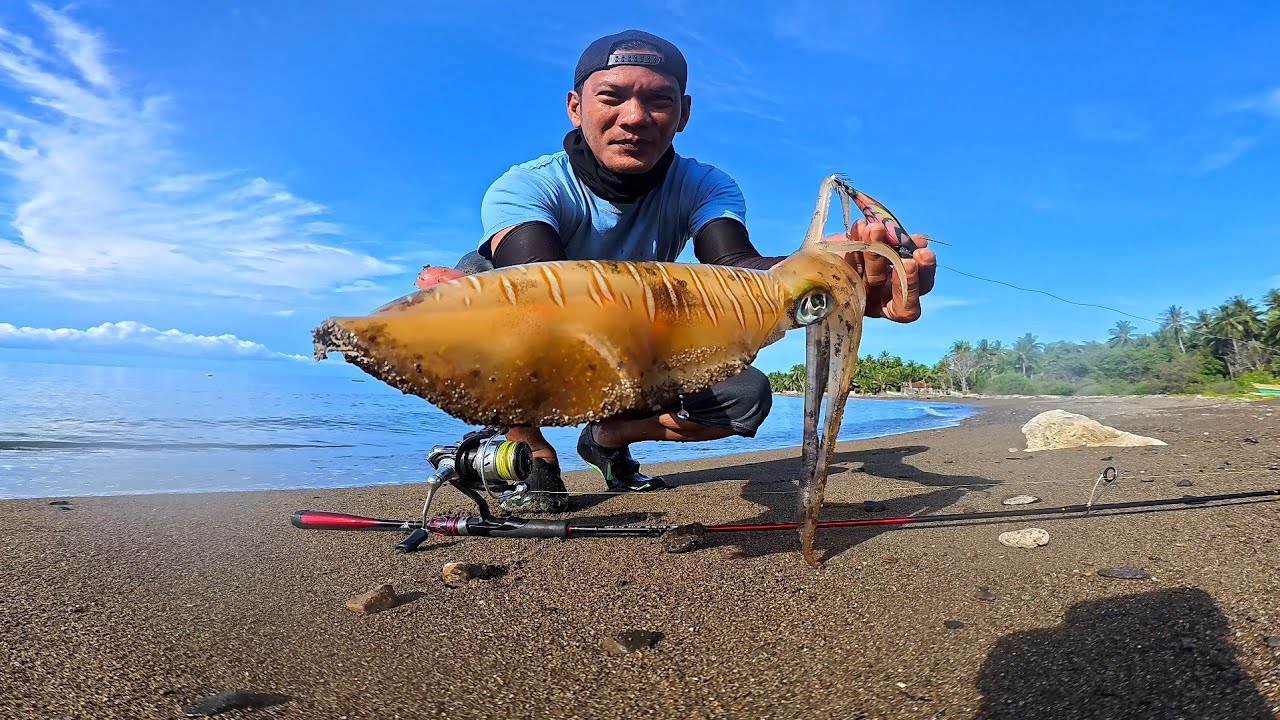 Ternyata Spot ini masih di huni CUMI SUPER BABON || Mancing cumi di pinggiran pantai