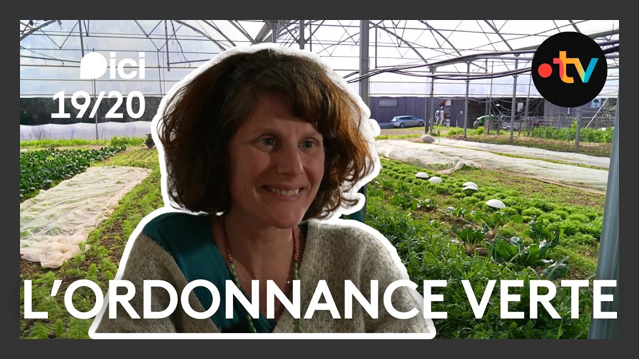 Perturbateurs endocriniens : comment s'en prot&eacute;ger pendant la grossesse ?