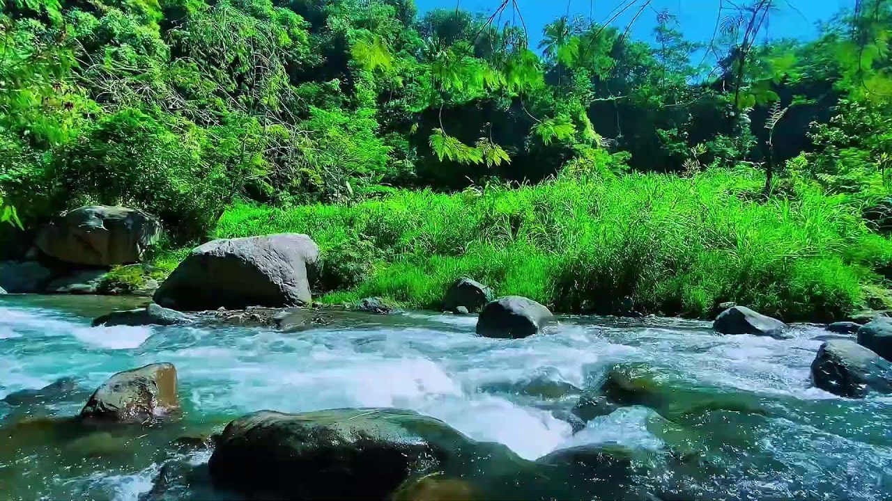 Mountain Stream Quiet Flow, Forest River Water, Sleeping