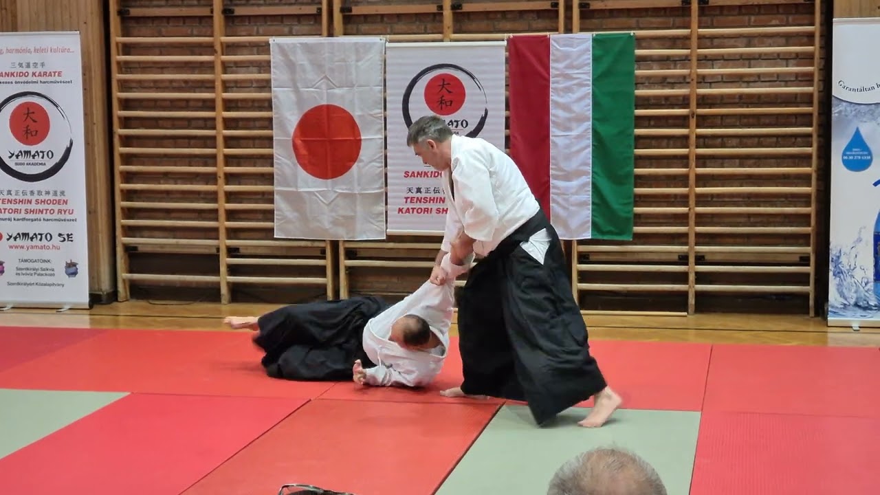 Szabó Balázs (6. dan) AIKIDO bemutatója - 2022