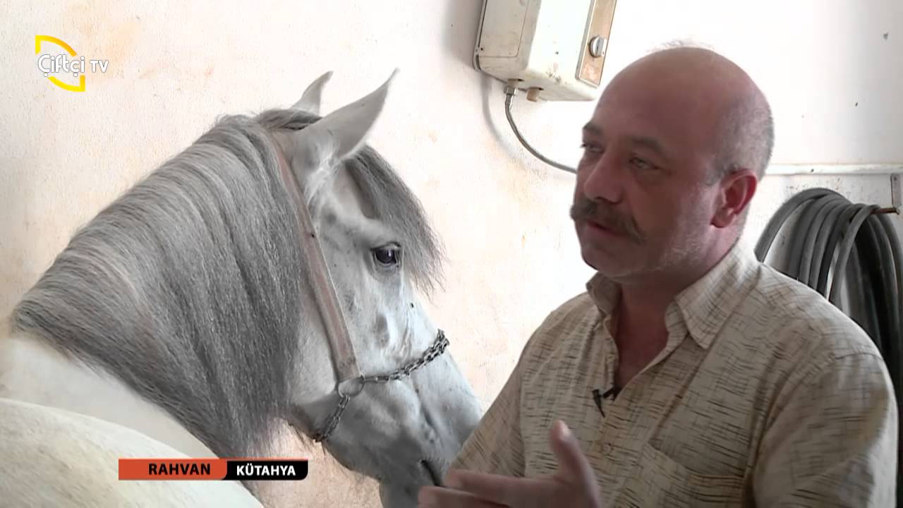 RAHVAN 4. BÖLÜM KÜTAHYA