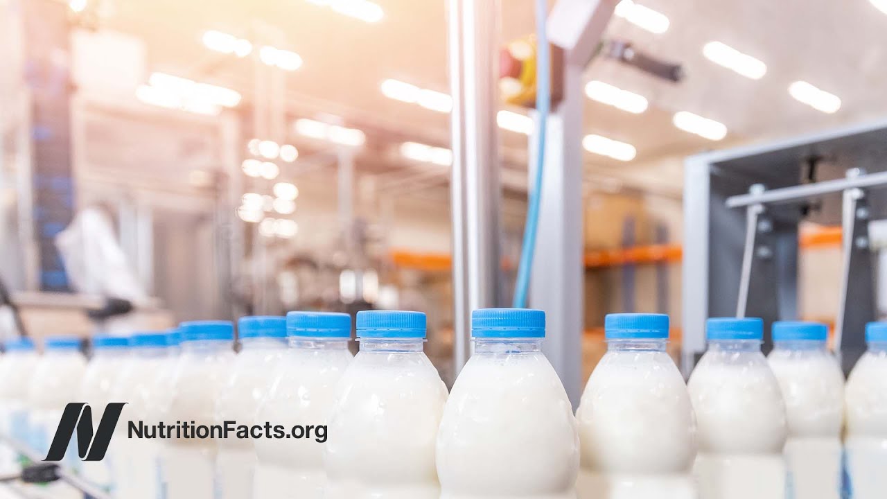 Could Lactose Explain the Milk - Parkinson’s Disease Link?