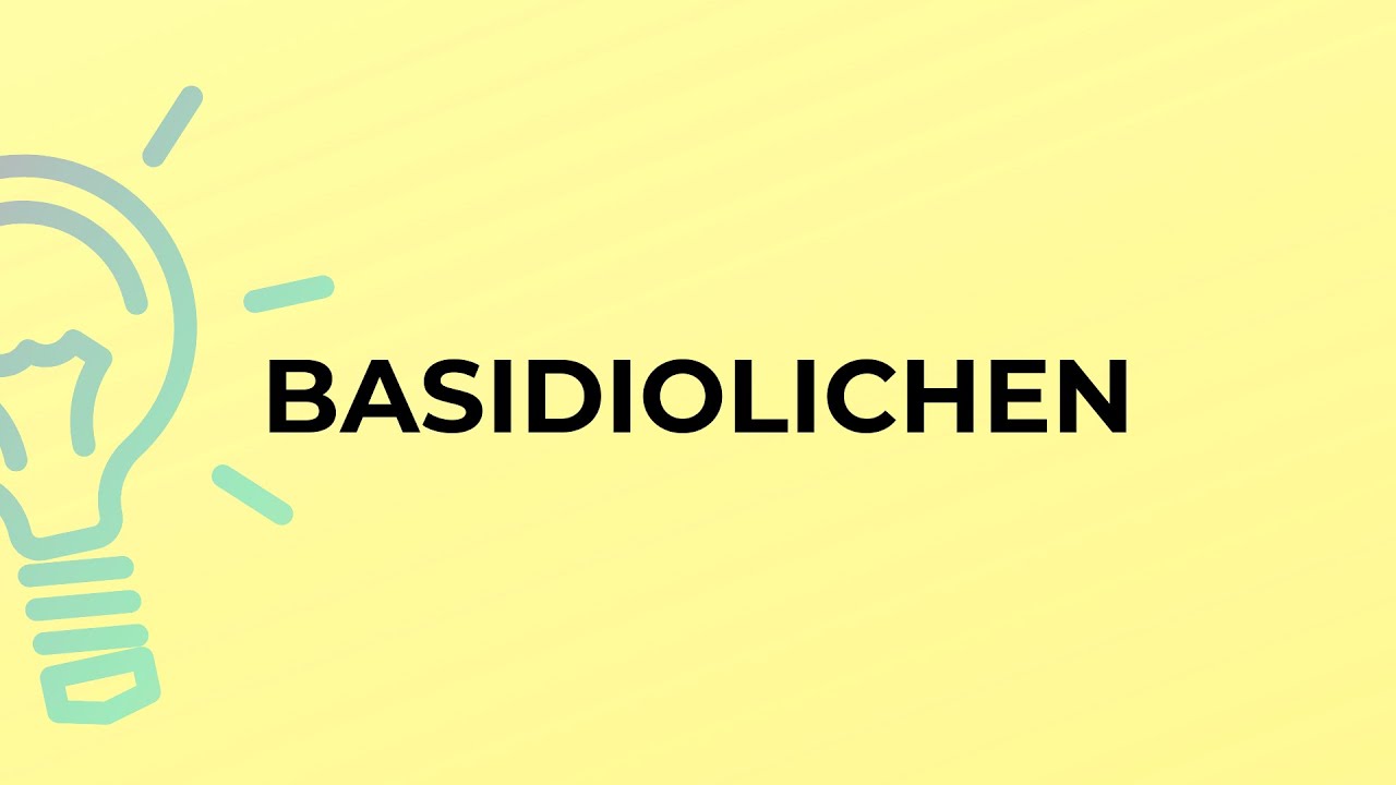 What is the meaning of the word BASIDIOLICHEN?
