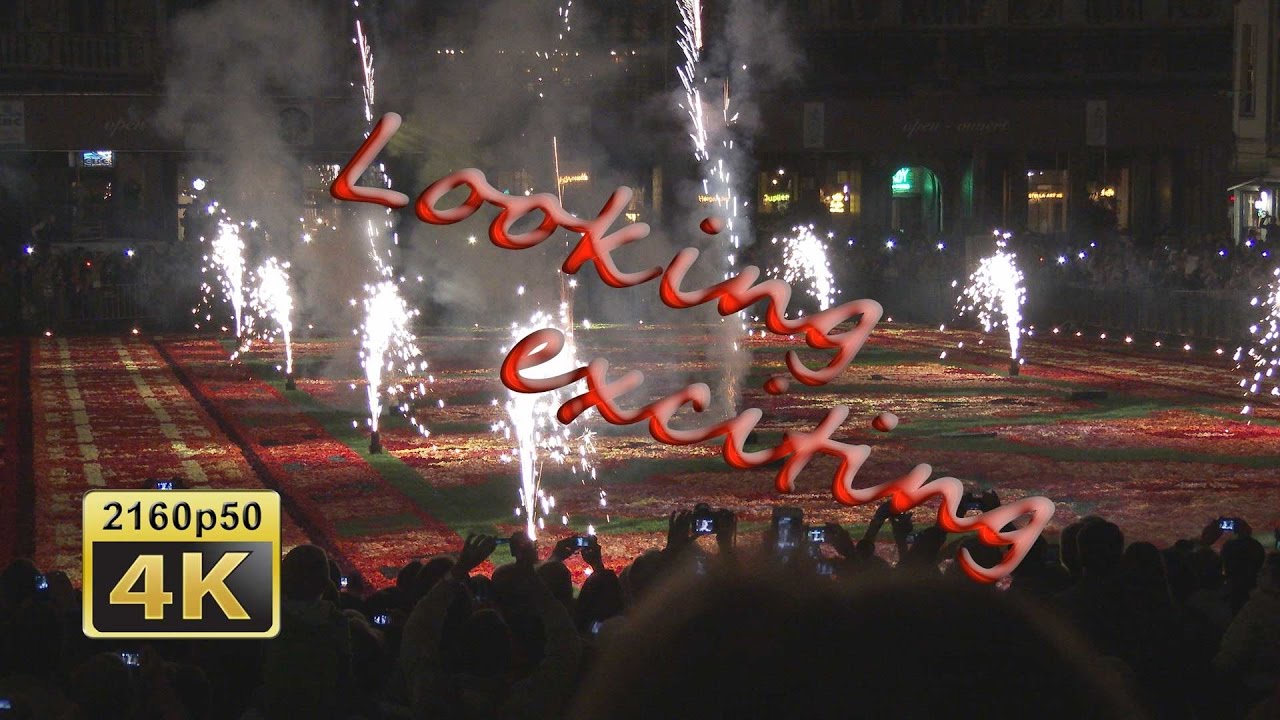 The Flower Carpet Brussels 2014, Opening - Belgium 4K Travel Channel