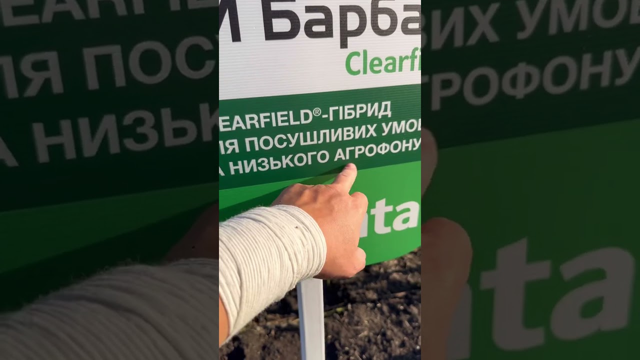 ПРЕЗЕНТАЦІЯ НОВИНОК 🆕🌻ВІД 