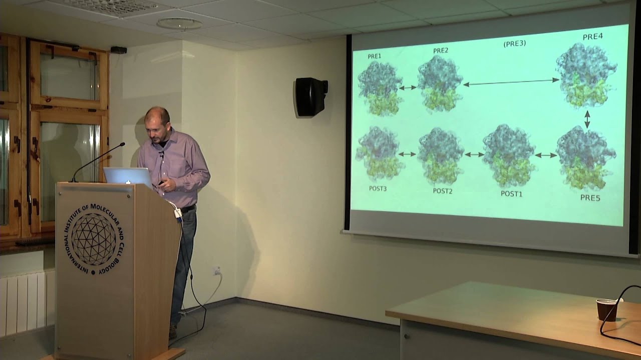 Prof. S. Flores. A Trajectory of Ribosomal Translocation with Internal Coordinate Flexible Fitting.
