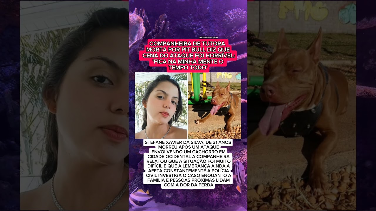 COMPANHEIRA RELATA CENA MARCANTE APOS MORTE DE MULHER EM OCORRENCIA COM CACHORRO NA AREAS..