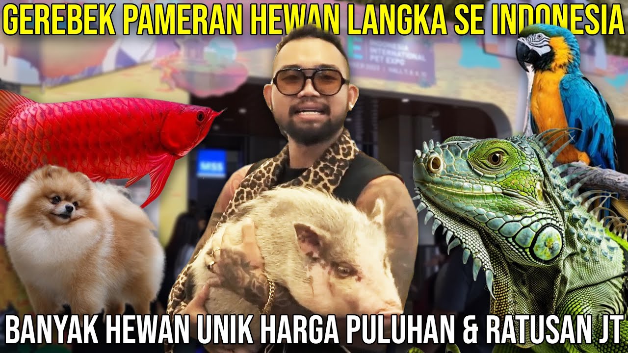 GEREBEK PAMERAN HEWAN LANGKA SE INDONESIA || BANYAK HEWAN UNIK HARGA PULUHAN & RATUSAN JUTA